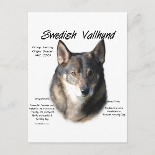 Zweedse Vallhund Geschiedenis Briefkaart
