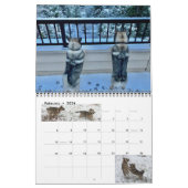 Zweedse Vallhund kalender (Feb 2026)