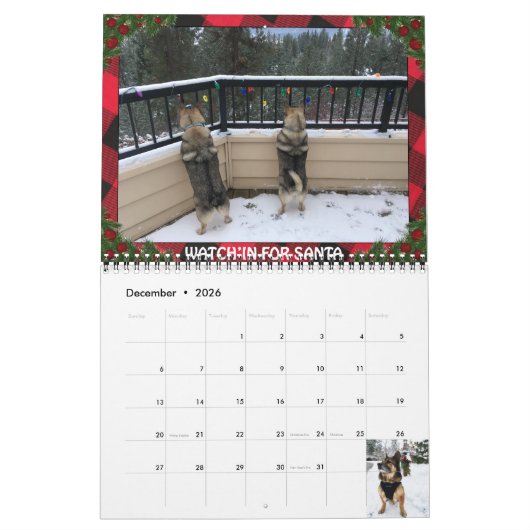 Zweedse Vallhund kalender (Dec 2026)