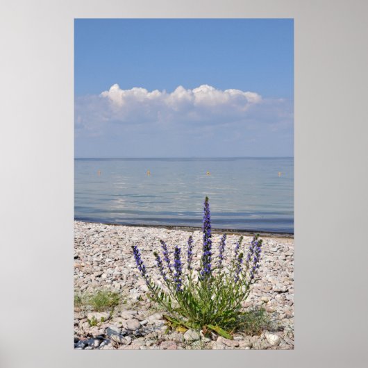 Zweedse zomerdruk poster (Voorkant)