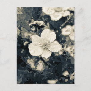 Zweedsige Anemoon Bloem Botanische Kunst Briefkaart