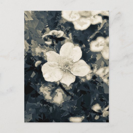 Zweedsige Anemoon Bloem Botanische Kunst Briefkaart (Voorkant)