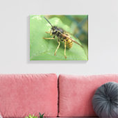 Zweefvlieg Macro Canvas Print (Insitu (Woonkamer))
