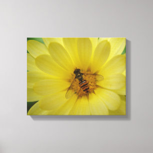 Zweefvlieg op een Afrikaantje Canvasprint Canvas Afdruk