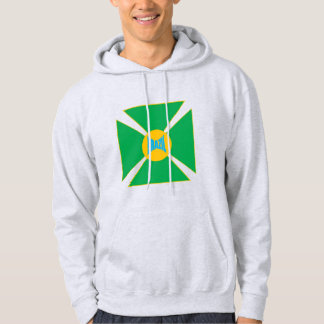 Zweet met as capuchon man BRAZIL Hoodie