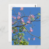 Zweig mit Blumen Briefkaart (Voorkant / Achterkant)