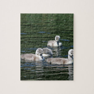 Zwem Vrienden Legpuzzel
