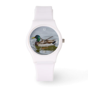 Zwem Wilde Eend Zwem Horloge