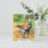  zwembad briefkaart (Staand voorkant)