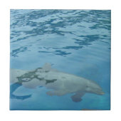 Zwemdolfijn Tegeltje (Voorkant)