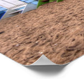 Zwemdozen Poster (Hoek)