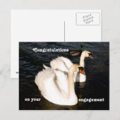 Zwemelen in de zon briefkaart (Voorkant / Achterkant)