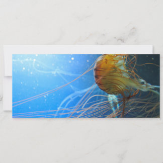 Zwemelen van kwallen