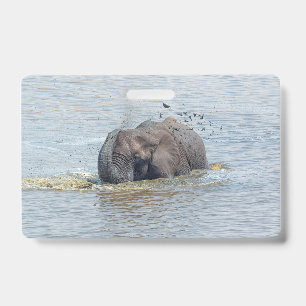 Zwemelolifant Badge