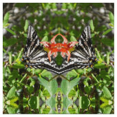 Zwemelstaart Stof (Close Up)