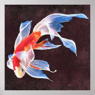 Zwemende Goldfish Realistic Fine Art Poster