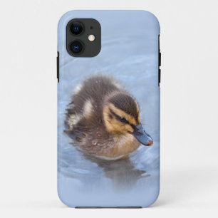Zwemende jonge eend iPhone 5 Hoes
