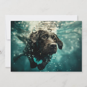 Zwemende Labrador Puppy Onderwater Ontwerp Kaart