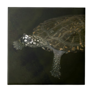 Zwemende Schildpad Tegeltje