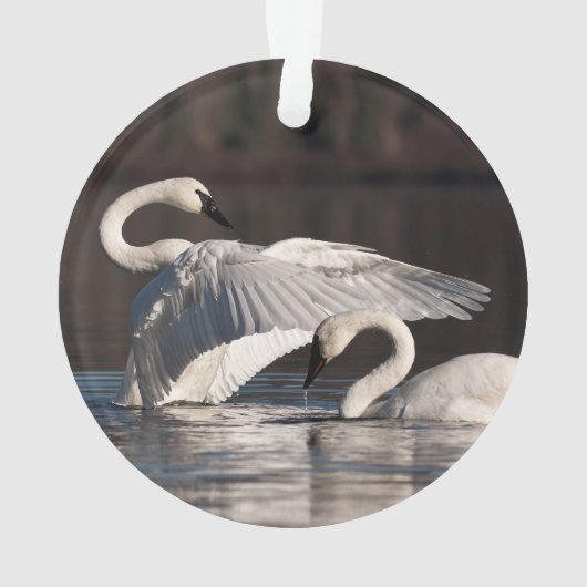 Zwemens Ornament (achterkant)