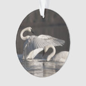 Zwemens Ornament (voorkant)