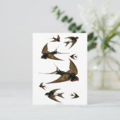 Zwemgen dieren briefkaart (Staand voorkant)