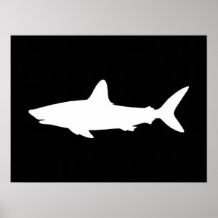 Zwemhaai Poster
