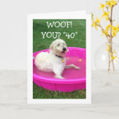 ZWEMHOND ZEGT DAT GELUKKIGE "JIJ" 40 IS EN NIET HI KAART (Gele Bloem)