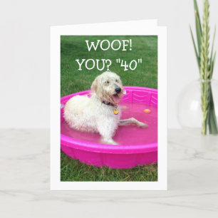 ZWEMHOND ZEGT DAT GELUKKIGE "JIJ" 40 IS EN NIET HI KAART