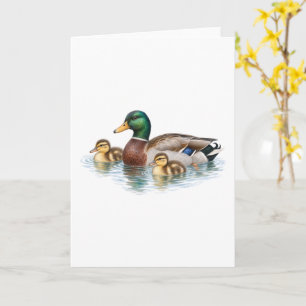 Zwemkaart Wilde Eend Familie Kaart