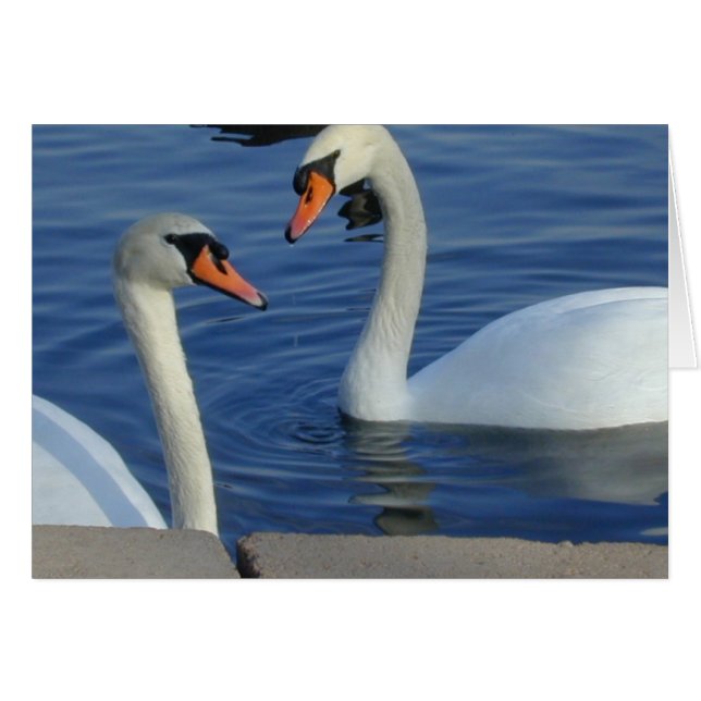 Zwemkaarten sluiten (Voorkant Horizontaal)