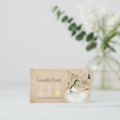 Zwemkleding voor gezelschapsdieren Zwemmen en Groo Klantenkaartje (Staand voorkant)