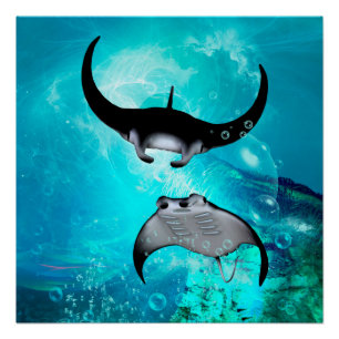 Zwemmantarroggen Perfect Poster