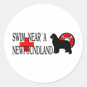 Zwemmen bij een Newfoundland Ronde Sticker
