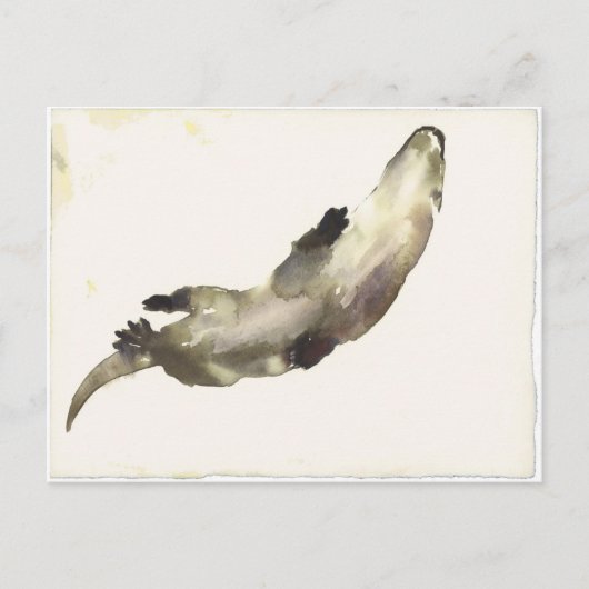 Zwemmen boven briefkaart (Voorkant)