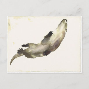 Zwemmen boven briefkaart