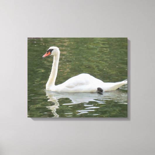 Zwemmen Canvas Afdruk (Voorkant)