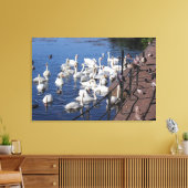 Zwemmen en andere vogels bij het Roath Park Lake C Canvas Afdruk (Insitu (Woonkamer))