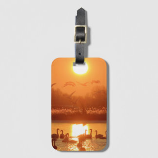 Zwemmen in het meer bij Sunset Bagagelabel