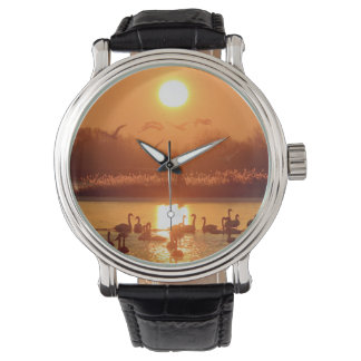 Zwemmen in het meer bij Sunset Horloge