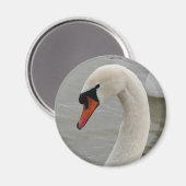 Zwemmen in het meer magneet (Voorkant / Achterkant)