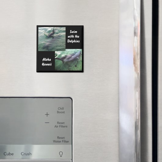 Zwemmen met Dolfijnen Hawaï Magneet (Insitu (Koelkast))