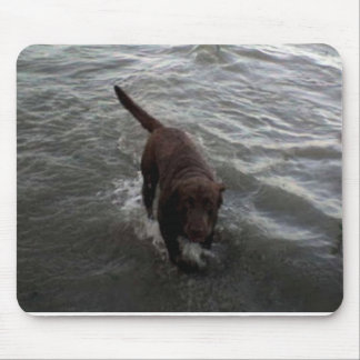 zwemmen met labrador Retriever Muismat
