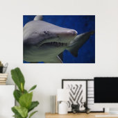 Zwemmen Natuur Muur Poster (Thuiskantoor)