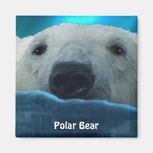 Zwemmen Polar Beer Arctic Wildlife Art Magnet