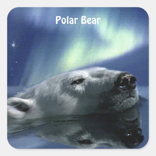 ZWEMMEN POLAR BEER Wildlife Stickers (Voorkant)