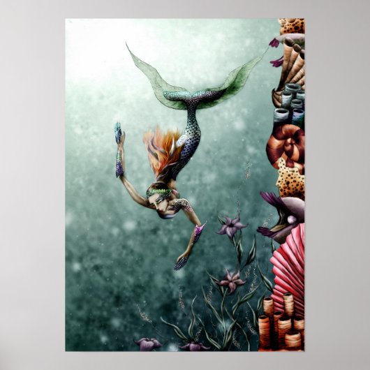 Zwemmen Poster (Voorkant)