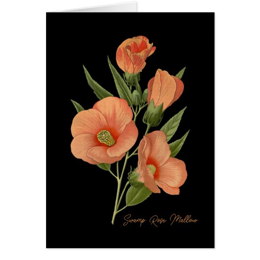 Zwemmen Roos Mallow Blank (Voorkant)