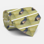 Zwemmen van de Noord-Amerikaanse Beaver Stropdas (Opgerold)