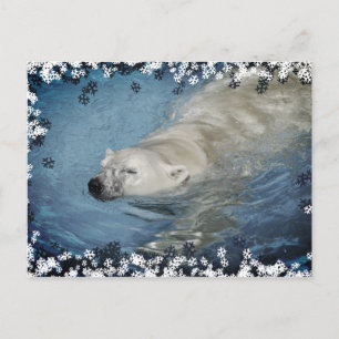 Zwemmen van poolbeer briefkaart